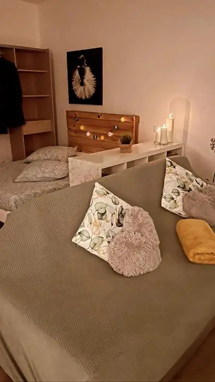 Grand T1 de 38 m2 au design épurée