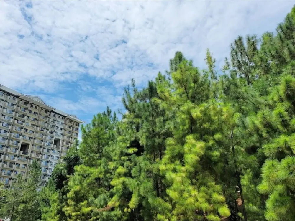 Spacious Central Davao City Getaway - Spacious Apartment With Shared Pool