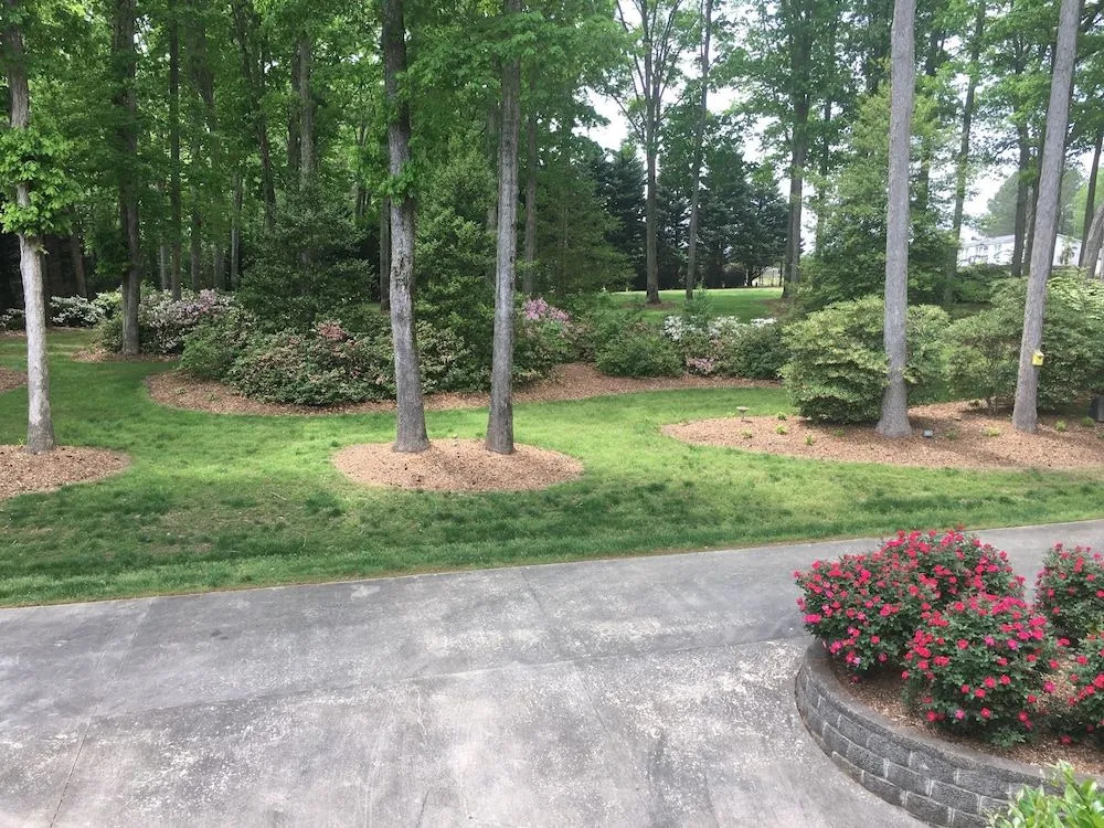 The Lakeside Resort