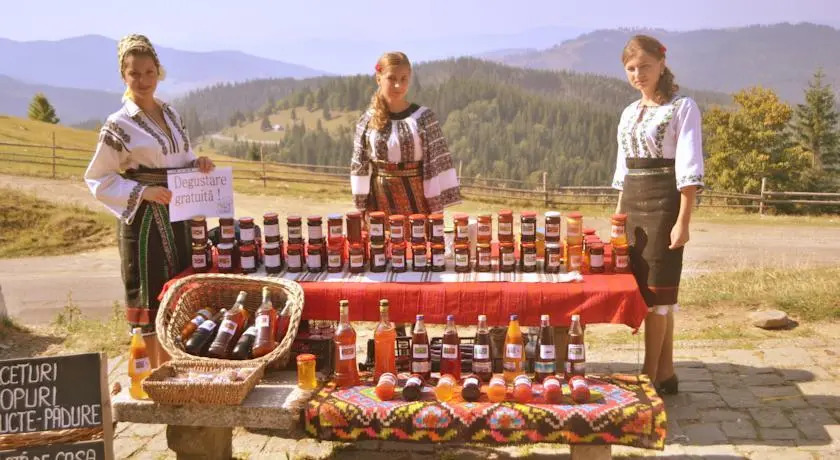 Gospodăria Colinița Bucovina
