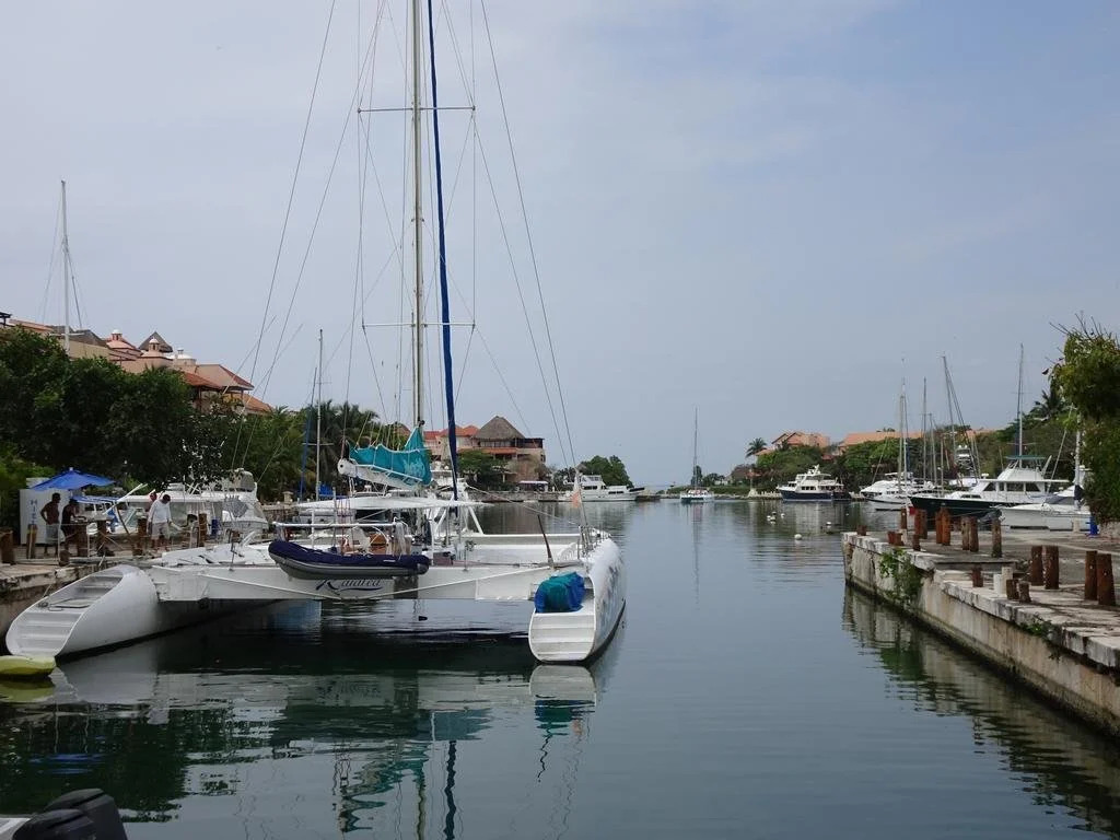 La Salamandra