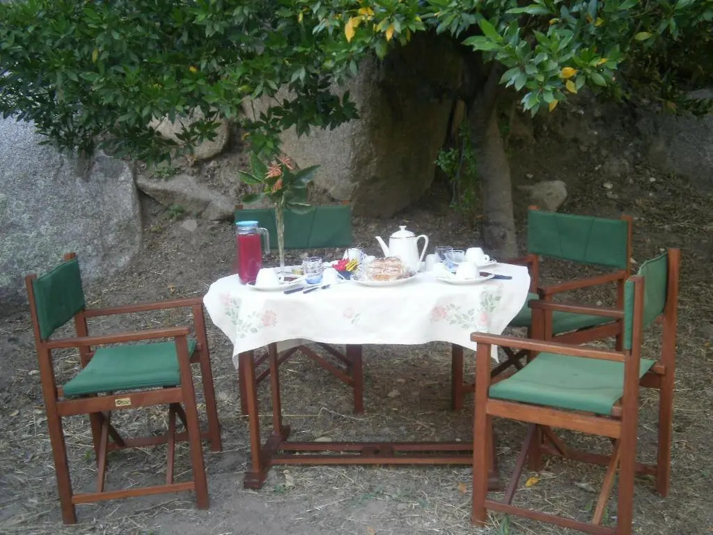 La Collina dei Ciliegi