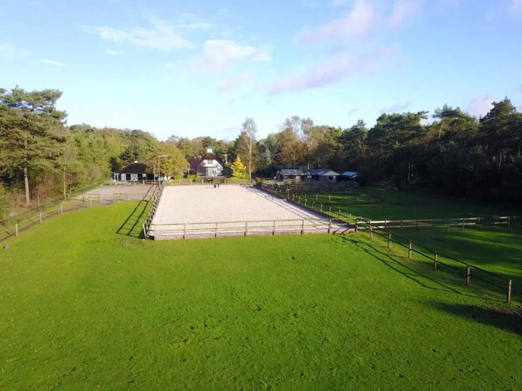 Veld En Bosch
