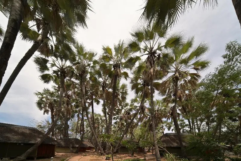 Omarunga Epupa-Falls Camp