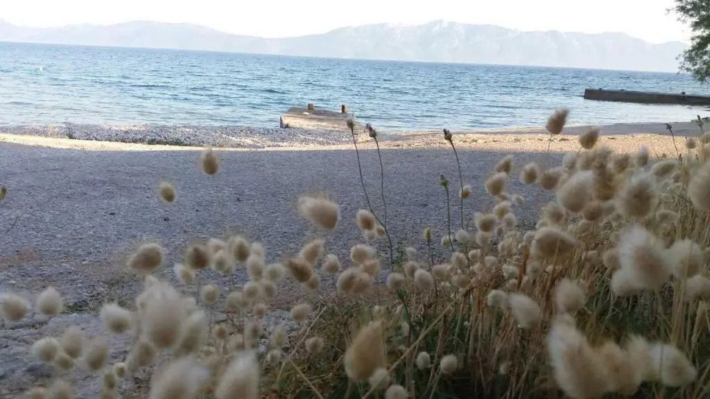 Apartments Stjepan