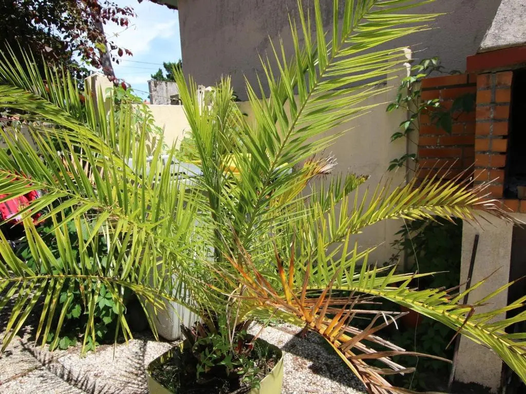 Maison Saint-Brevin-les-Pins, 3 pièces, 4 personnes - FR-1-364-109
