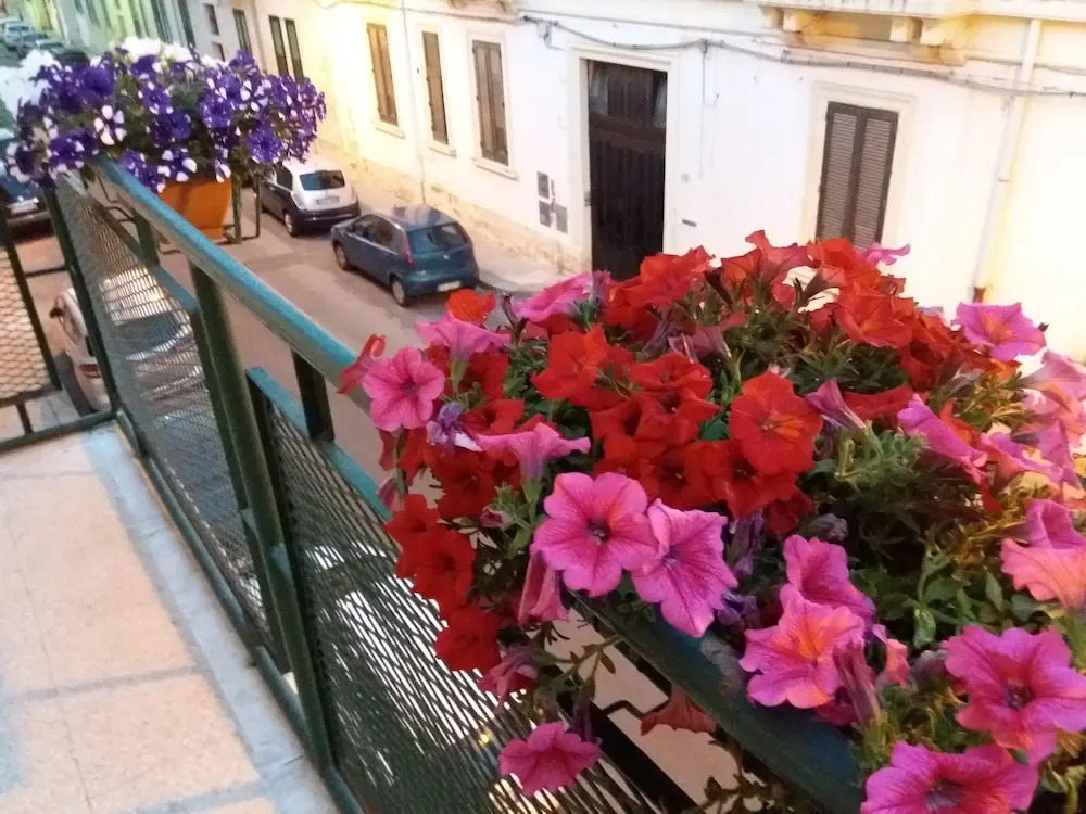 B&B Amelie