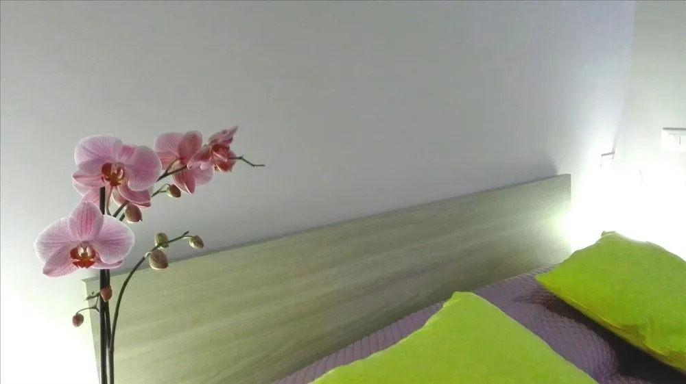 Marias Rooms