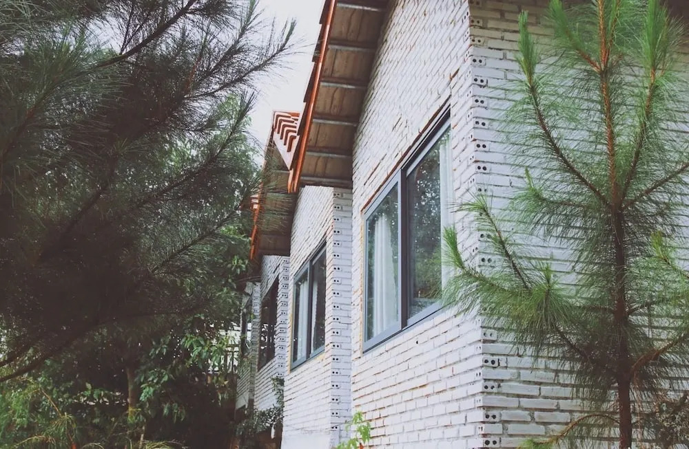 Mint Haus
