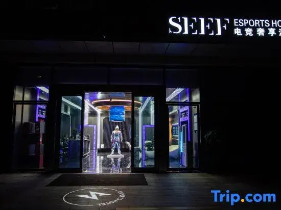 SEEF E-sports Luxury Hotel