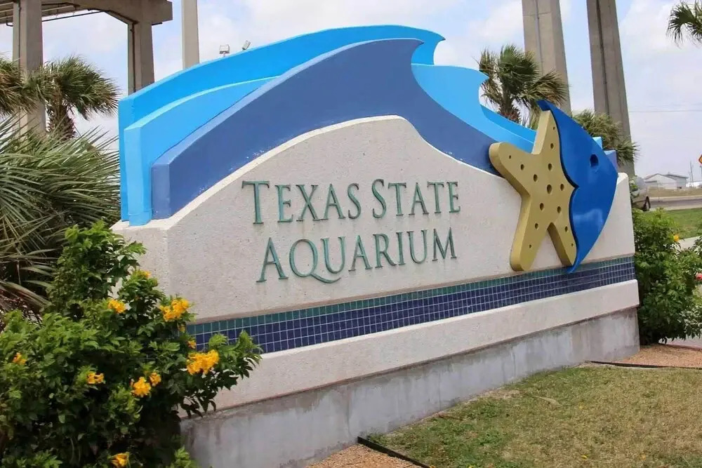 Corpus Christi Condo w/ Pool Access, Walk to Beach