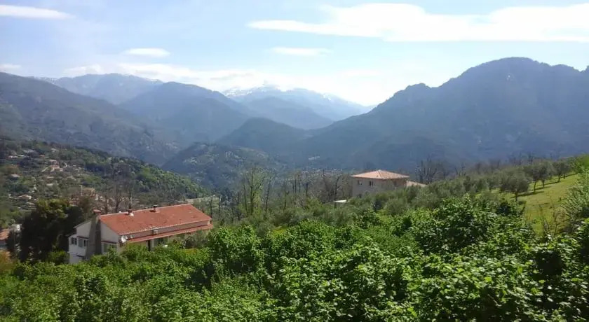 Le Sentier des Oliviers