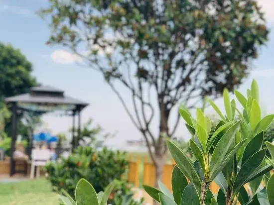 Shanghai Zuoyu Yousu Pumao Homestay