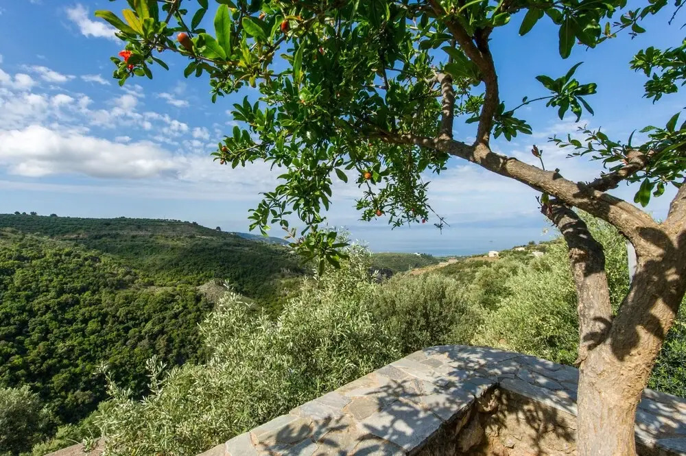 Breathtaking Sea View, Close To The Beach