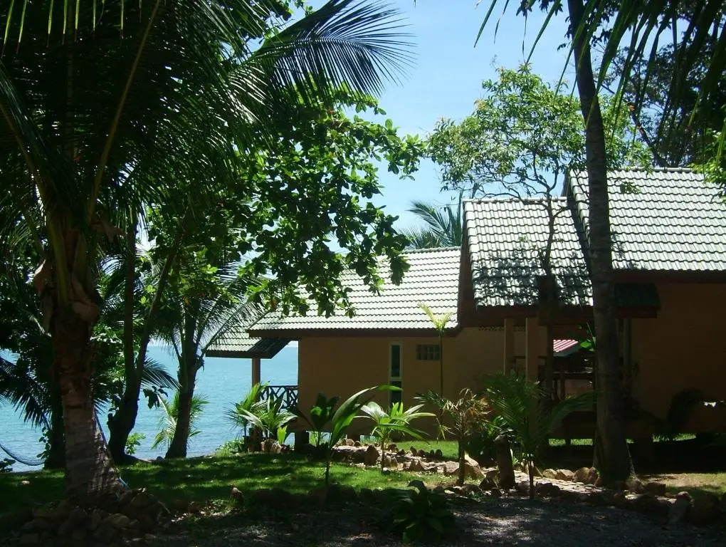 Paradise Palms