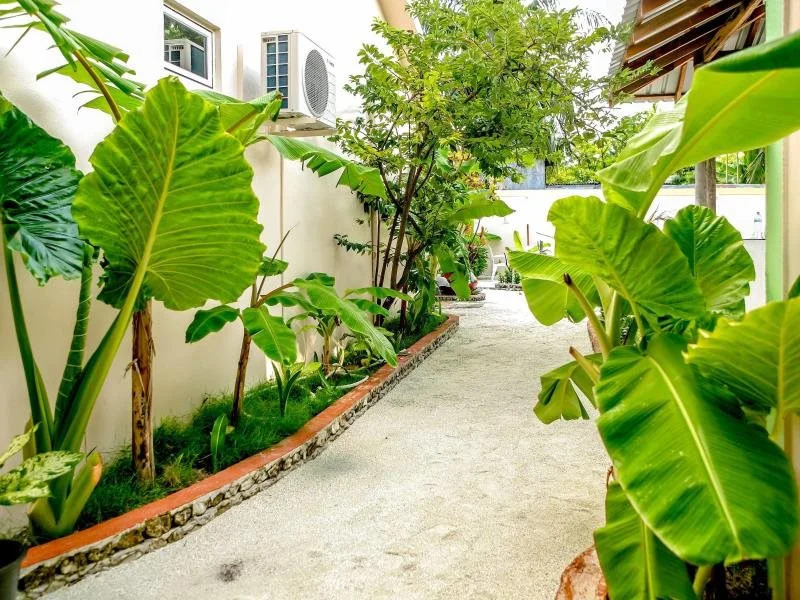 Banyan Villa Maldives Dhangethi