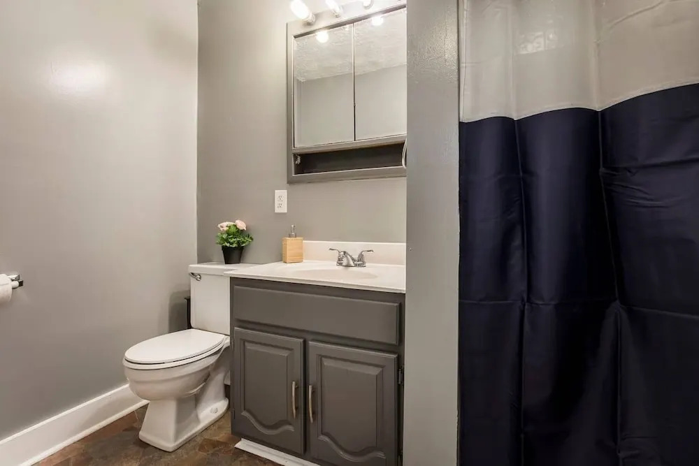 Historic 3BR home with backyard in Shelby Park
