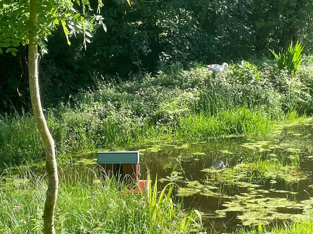 1 Bedroom Cabin Sleeps 2, Private Garden, Wifi