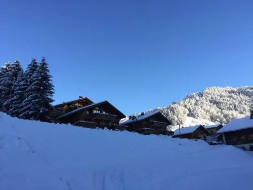 Residence Les Aravis