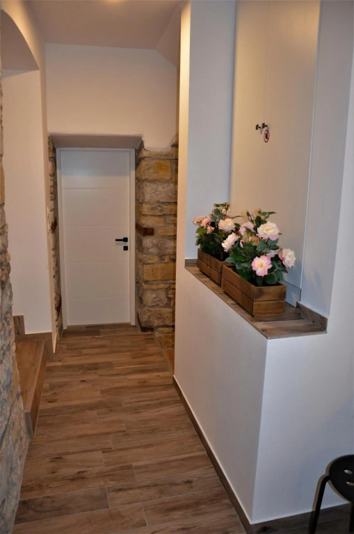 Istrabella Apartment