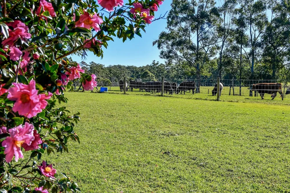 Curra Homestead Maleny