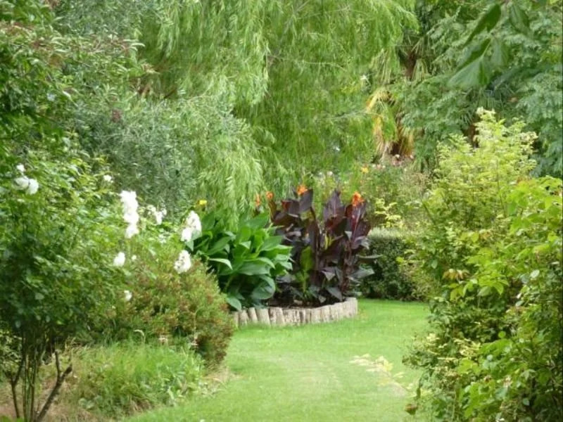 Willow Lodge B&B