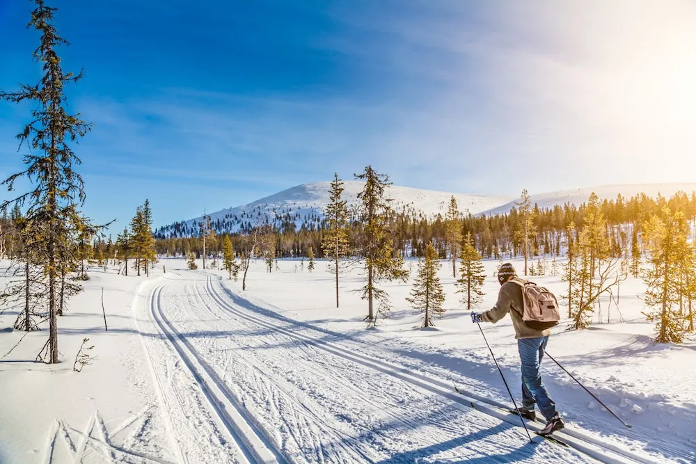 Telemark Ridge Lodge and Wellness Retreat