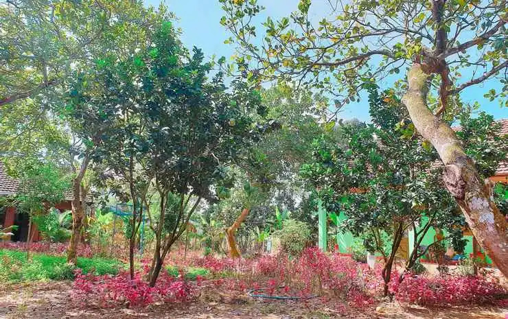Thuy Tien Ecolodge