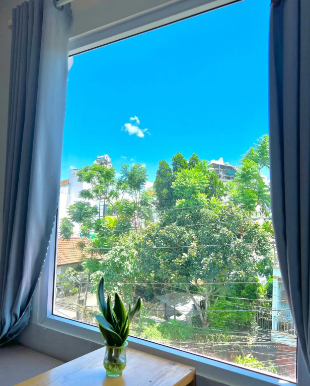 Nấm Home