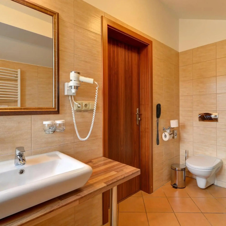 Hotel U Pramenu