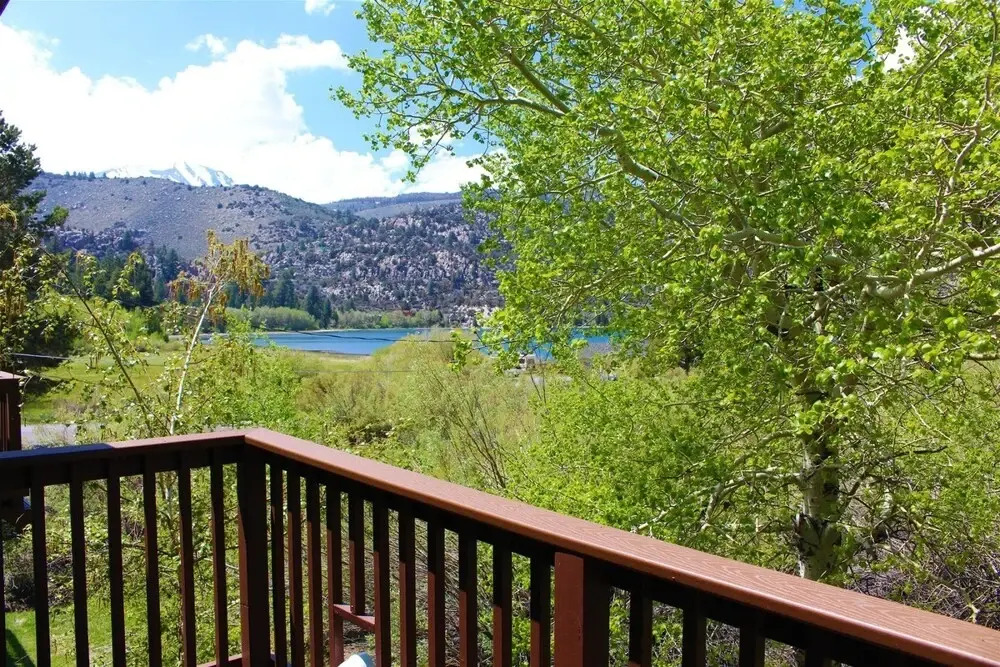 Sierra Suns 12