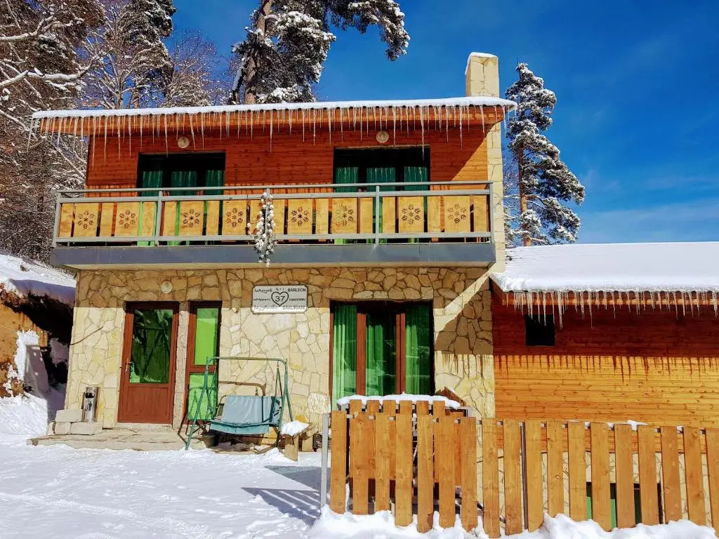 Villa B Barleon-Bakuriani