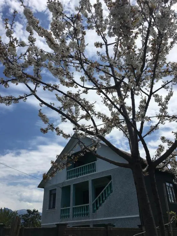 Homestay in Batumi Дом в Чакви