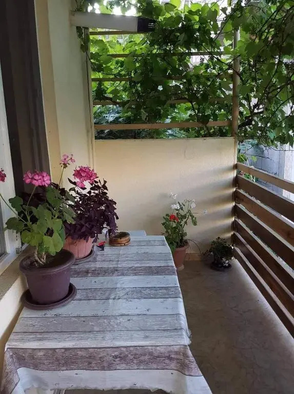 Home qobuleti