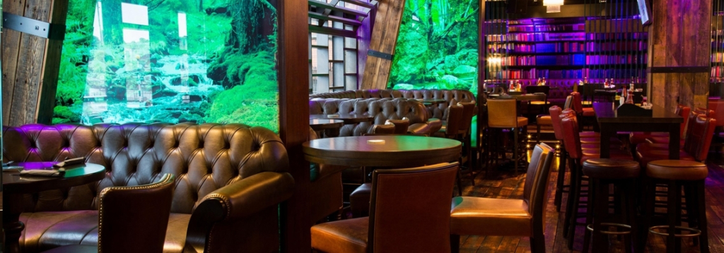 Limerick City Hotel