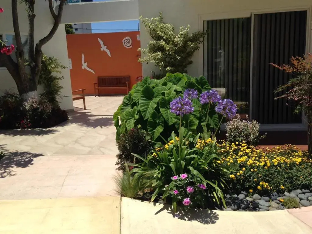 Dali Suites