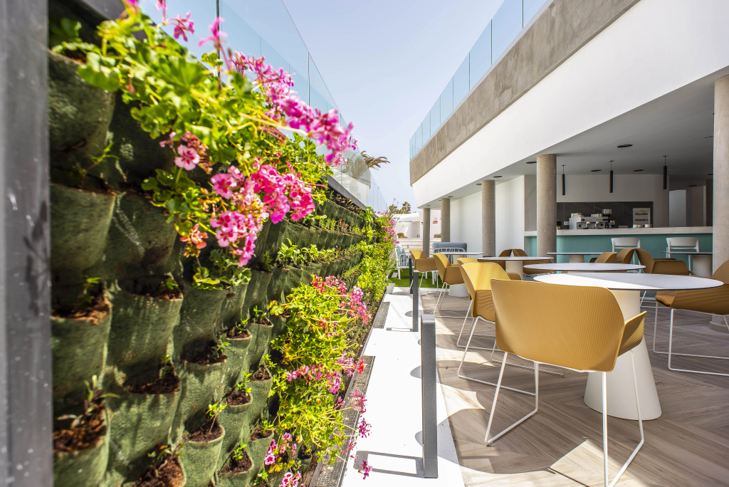 Hotel Taimar