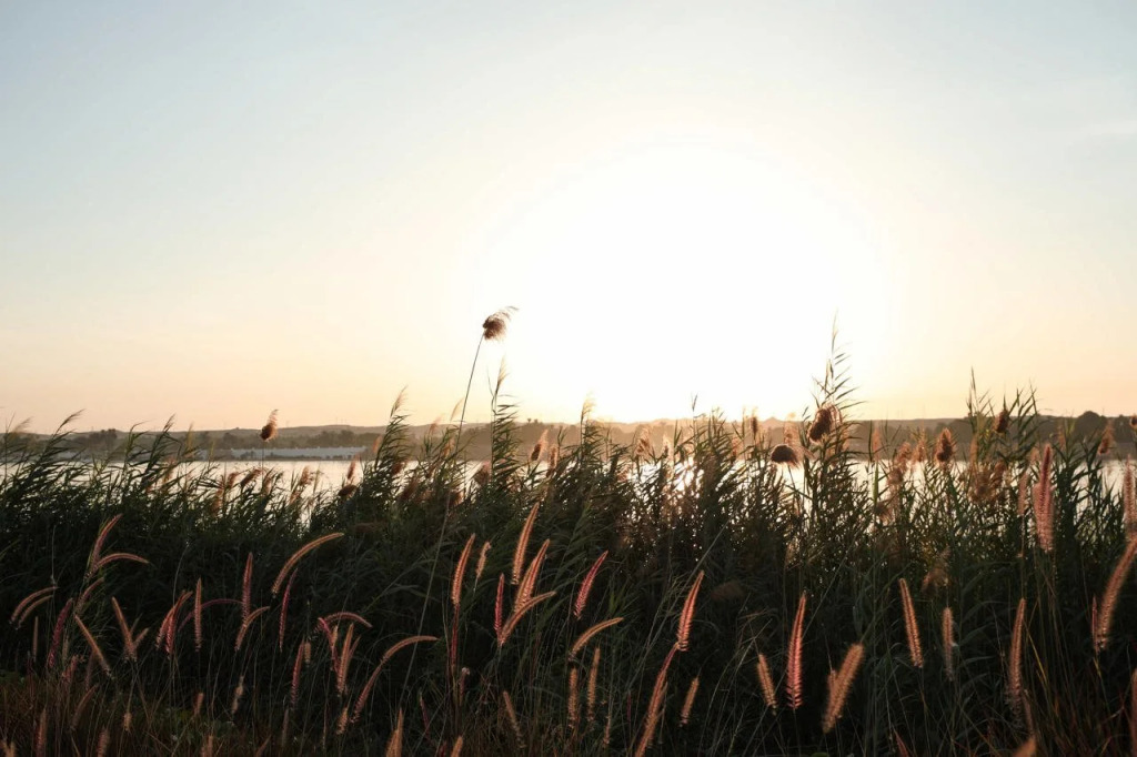 Курортный отель The Zen Wellness Resort