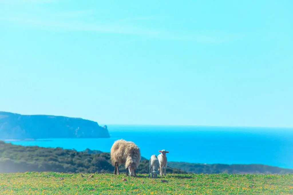 Agriturismo Il Ginepro