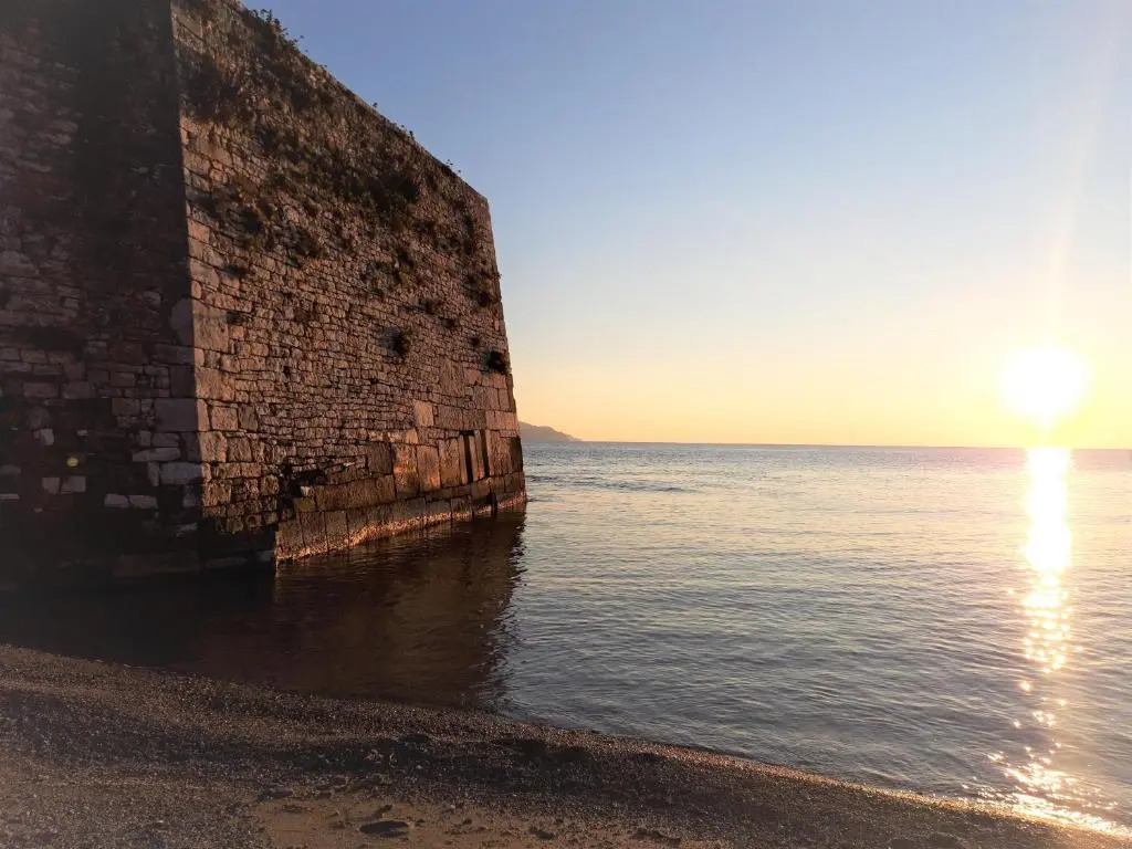 Nestor Sea Studio