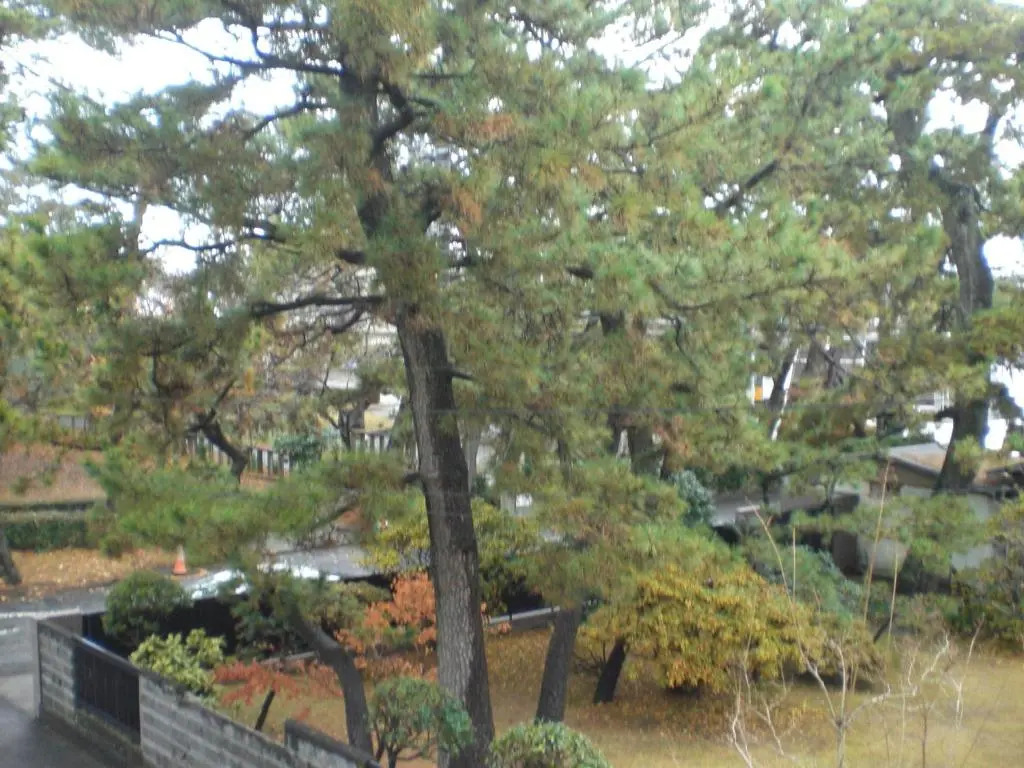 Minato Oasis Numazu - Vacation STAY 31031v