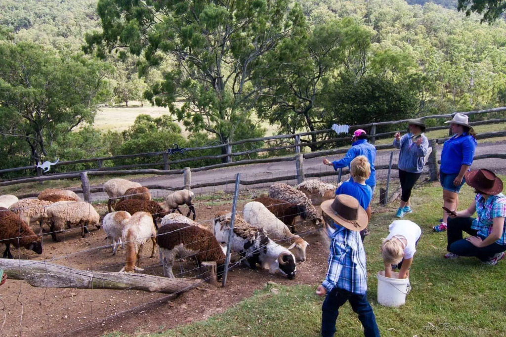 Bestbrook Mountain Farmstay