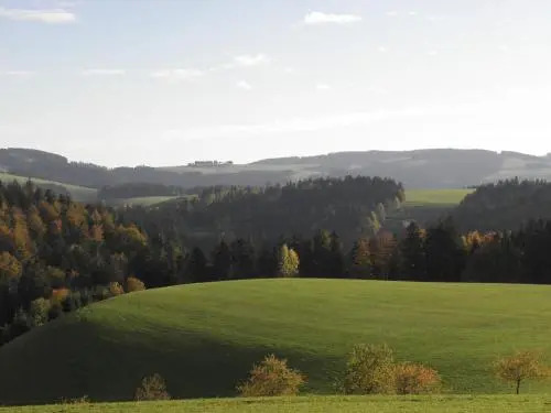 Pension Haus Hubertus