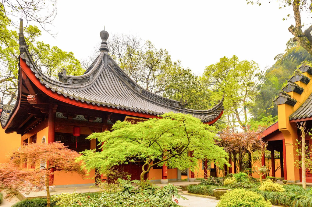 Culture Plaza Hotel Zhejiang