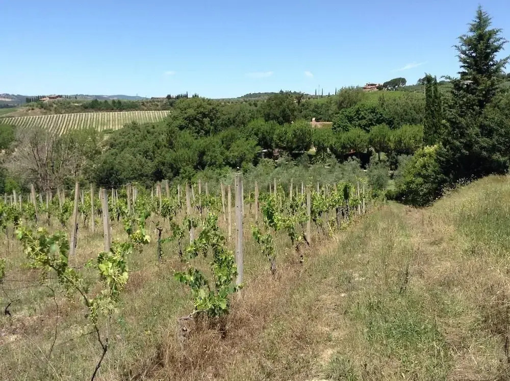 Podere Romitorio