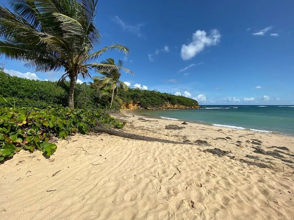 Gardenia- 3BR Dorado- Ocean Views 3 Pools