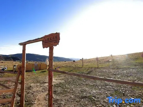 Kangding Zandan·Lin Snow Mountain Pasture Homestay (Tagong Grassland)