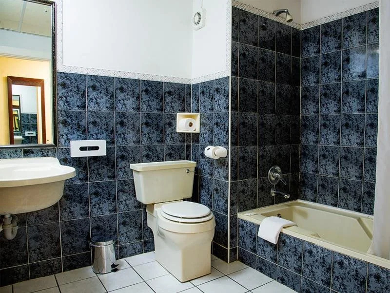 Premier Hotel King David