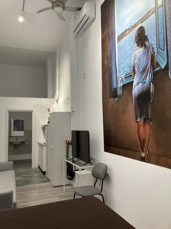 Golondrinas de Malaga "Apartamentos con mucho Arte" y terraza solarium en coliving