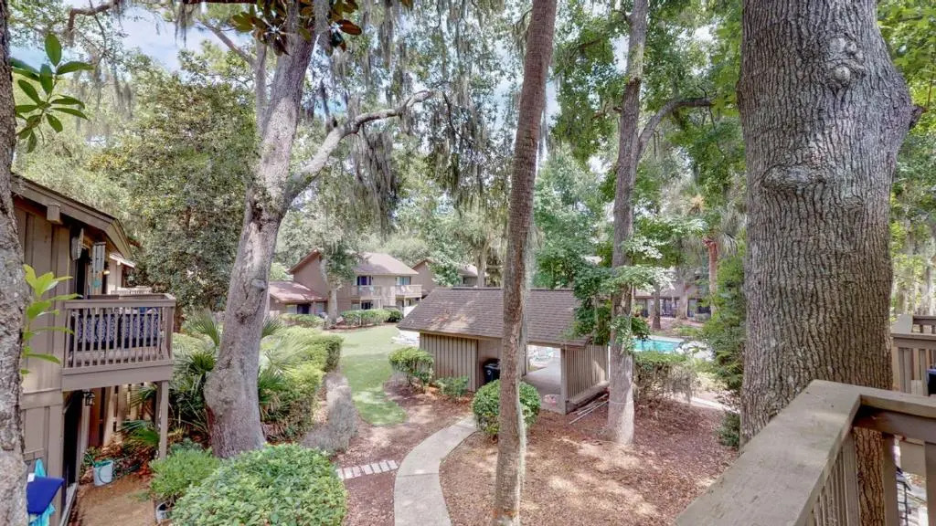 48 Water Oak